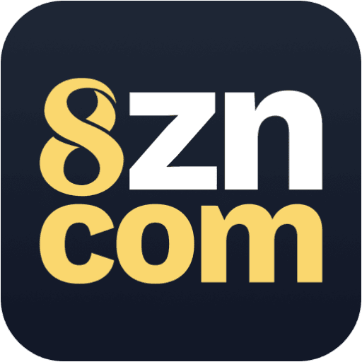 8znwin.com icon
