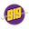 919.co.za icon