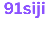 91siji.co icon