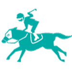 958011.com icon