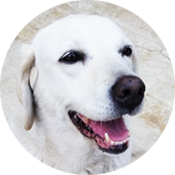 a1k1.com icon