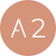 a2legal.nl icon