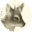 aapatagonia.org.ar logo