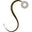 aashirs.com logo