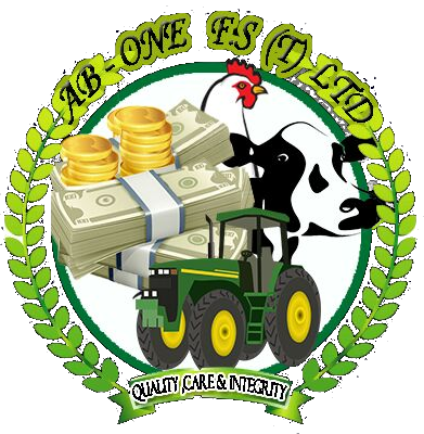 ab-one.co.tz logo