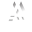 abandonedatlas.com icon