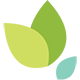 abundantlifebirdsboro.com icon