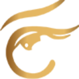 academiadearteybelleza.com icon