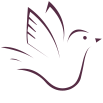 academienouvellevie.com icon