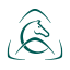 acavallo.com icon