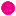 accademialilianapaduano.it icon
