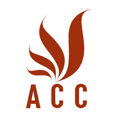 accgroup.vn logo
