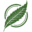 acf.org logo