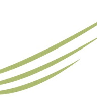 acgtelasia.com icon
