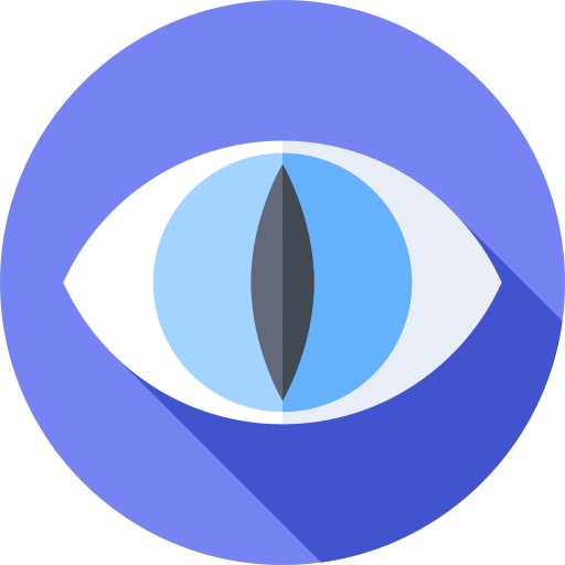 acilescort.com icon