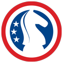 acmchess.com icon
