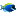 acquariofiliaitalia.it icon