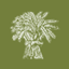 actonscott.com icon