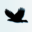 adeagle.app logo