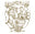 adegalabrugeira.pt icon