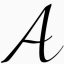 Adi Shalev logo