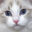 adorabledolls.net icon