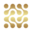 advancegestion.com.pe logo