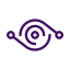 adviescollegeicttoetsing.nl icon