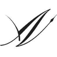 aerowatch.com icon
