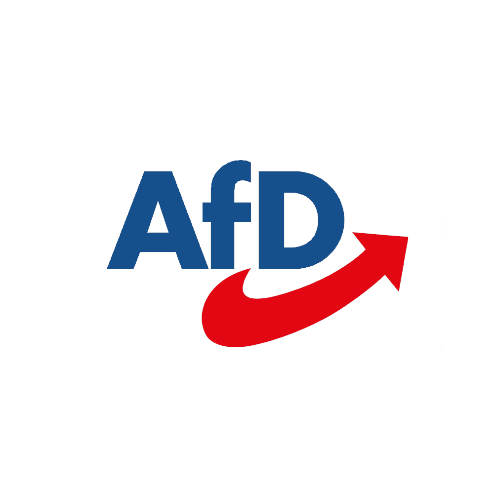 afd-rlp-fraktion.de icon