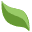 Domain Favicon