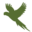 afona.org.ar logo