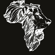afrexproperties.co.tz logo