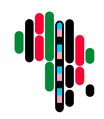 africanalliance.org.za icon