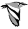 africanbirdclub.org icon