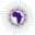 africandiasporanews.org icon
