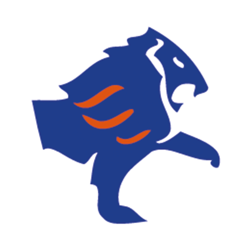 afroilgroup.co.tz logo