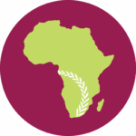 afsafrica.org icon