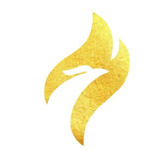 agenciafocussolucoes.com.br icon