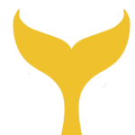agenciamermaid.com icon