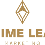 agenciaprimelead.com.br icon