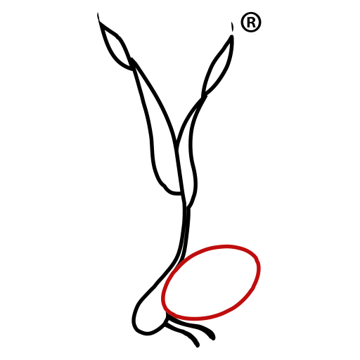 agfdt.de icon