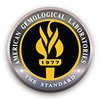 aglgemlab.com icon