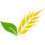 agrianalytica.com icon