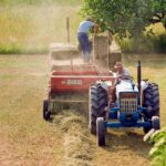 agrimondial.com icon