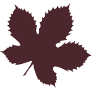 agrimontana.it icon