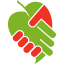 agro-market24.pl icon