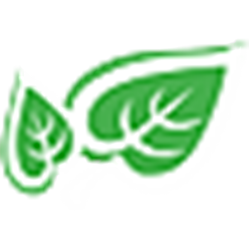 agronomicabr.com.br icon