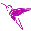 aguacolores.com icon