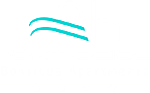 ahporticcioli.com icon